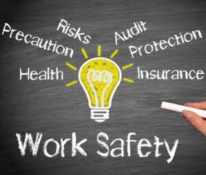 Safety Audit Consultant TheSafetyMaster - TSM TheSafetyMaster Private ...